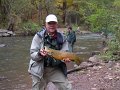 My second brown